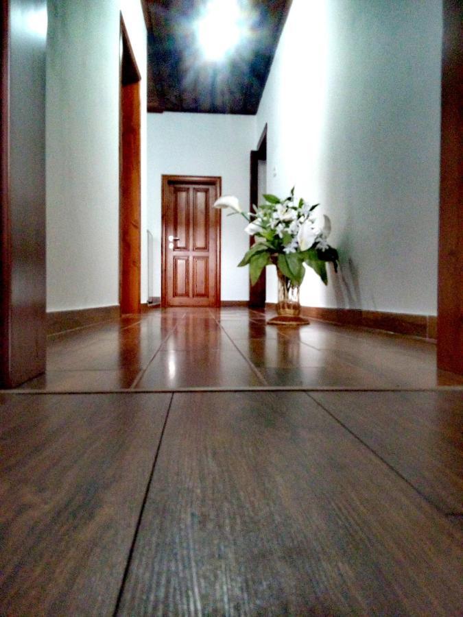 Guesthouse Celo Αργυρόκαστρο Εξωτερικό φωτογραφία